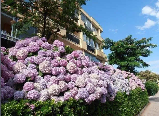 Bo040-1109 2 Pieces 4 Couchages Bormes Les Mimosas *