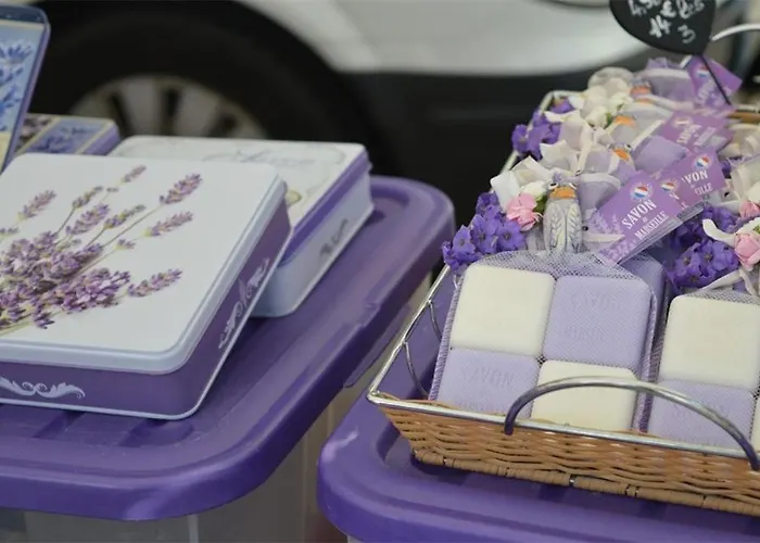 Appartement Bo040-1109 2 Pieces 4 Couchages Bormes Les Mimosas *